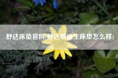 舒达床垫官网(舒达爱迪生床垫怎么样)