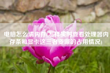 电脑怎么清内存(怎样实时查看处理器内存条和显卡这三者资源的占用情况)
