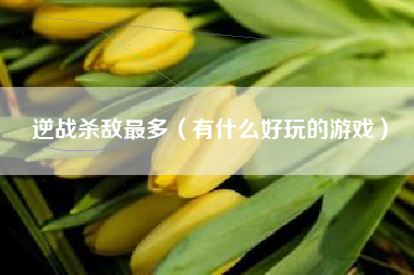 逆战杀敌最多（有什么好玩的游戏）