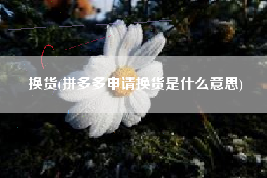 换货(拼多多申请换货是什么意思)