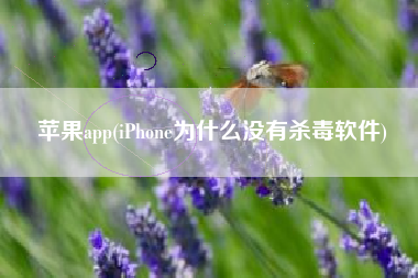 苹果app(iPhone为什么没有杀毒软件)