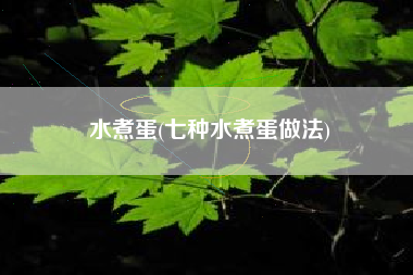 水煮蛋(七种水煮蛋做法)