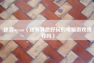 迷宫steam（还有其他好玩的电脑游戏推荐吗）