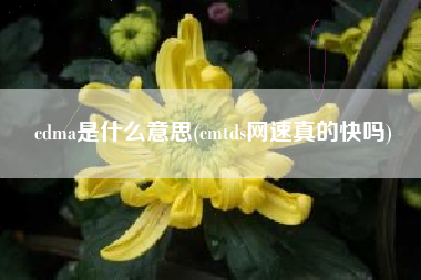 cdma是什么意思(cmtds网速真的快吗)