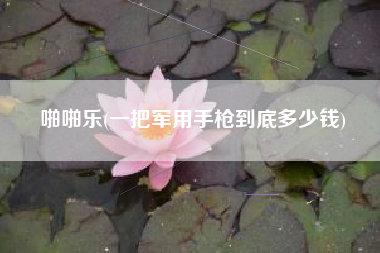 啪啪乐(一把军用手枪到底多少钱)