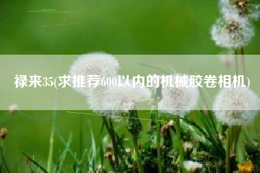 禄来35(求推荐600以内的机械胶卷相机)