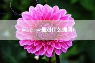 julie(home是对什么提问)