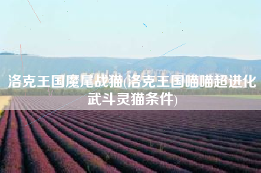 洛克王国魔尾战猫(洛克王国喵喵超进化武斗灵猫条件)
