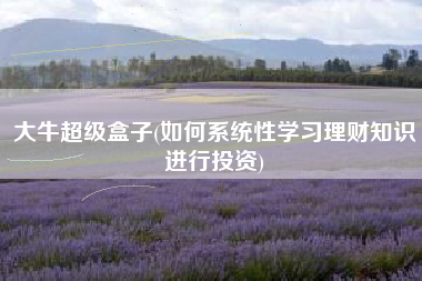 大牛超级盒子(如何系统性学习理财知识进行投资)