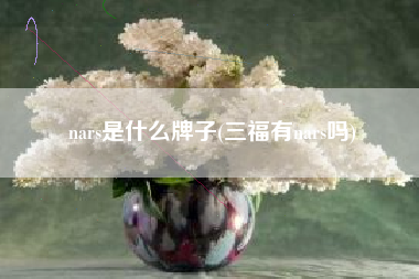 nars是什么牌子(三福有nars吗)