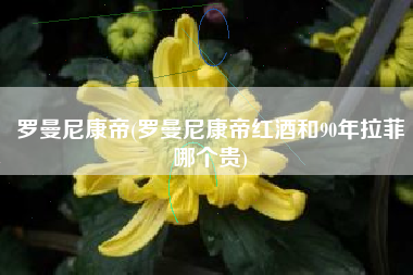 罗曼尼康帝(罗曼尼康帝红酒和90年拉菲哪个贵)