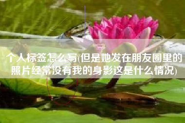 个人标签怎么写(但是她发在朋友圈里的照片经常没有我的身影这是什么情况)