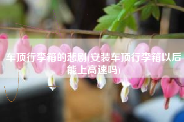 车顶行李箱的悲剧(安装车顶行李箱以后能上高速吗)