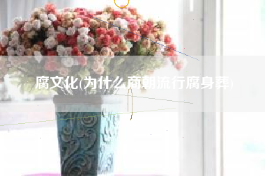 腐文化(为什么商朝流行腐身葬)