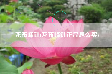 龙布峰针(龙布峰针正品怎么买)