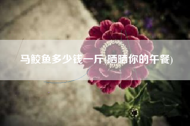 马鲛鱼多少钱一斤(晒晒你的午餐)