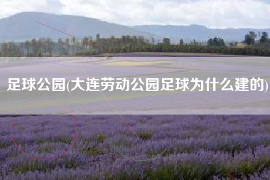 足球公园(大连劳动公园足球为什么建的)