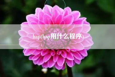 hap(hap用什么程序)