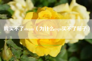 购买不了steam（为什么csgo买不了箱子）