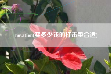 novation(买多少钱的打击垫合适)