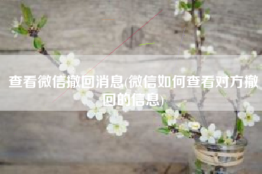 查看微信撤回消息(微信如何查看对方撤回的信息)