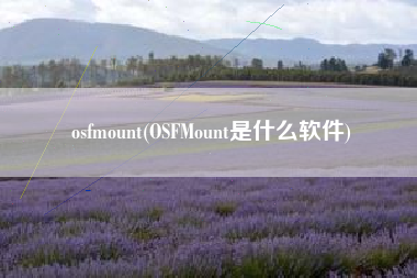 osfmount(OSFMount是什么软件)