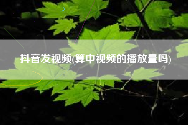 抖音发视频(算中视频的播放量吗)