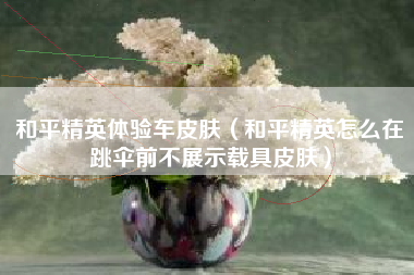 和平精英体验车皮肤（和平精英怎么在跳伞前不展示载具皮肤）