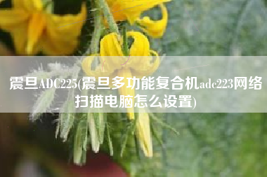 震旦ADC225(震旦多功能复合机adc223网络扫描电脑怎么设置)