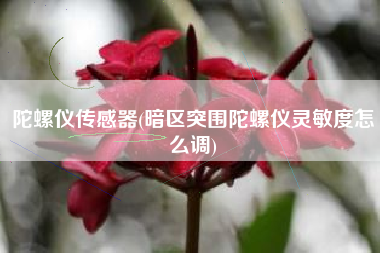 陀螺仪传感器(暗区突围陀螺仪灵敏度怎么调)