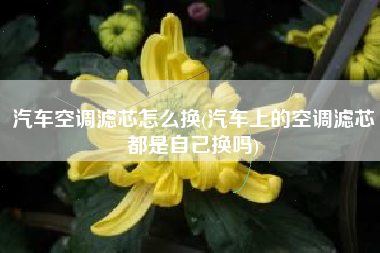 汽车空调滤芯怎么换(汽车上的空调滤芯都是自己换吗)