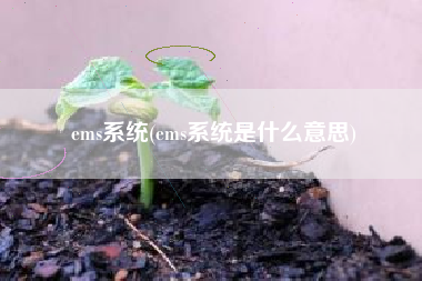 ems系统(ems系统是什么意思)
