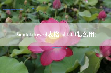 Sumtotal(excel表格subtotal怎么用)