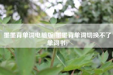 墨墨背单词电脑版(墨墨背单词切换不了单词书)