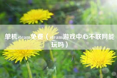 单机steam免费（steam游戏中心不联网能玩吗）