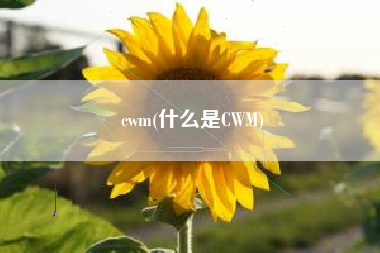 cwm(什么是CWM)