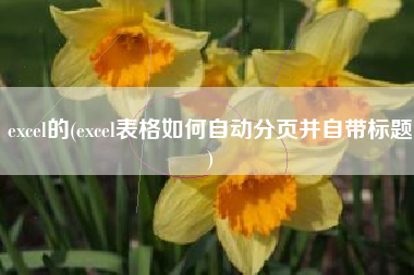 excel的(excel表格如何自动分页并自带标题)