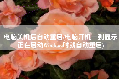 电脑关机后自动重启(电脑开机一到显示正在启动Windows时就自动重启)