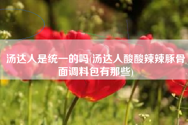 汤达人是统一的吗(汤达人酸酸辣辣豚骨面调料包有那些)
