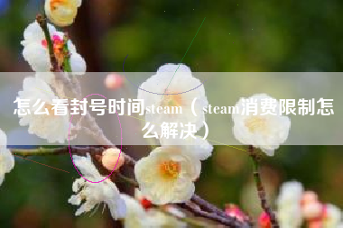 怎么看封号时间steam（steam消费限制怎么解决）