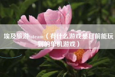 埃及旅游 steam（有什么游戏是目前能玩到的单机游戏）