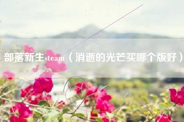 部落新生steam（消逝的光芒买哪个版好）