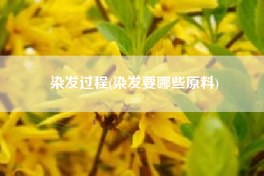 染发过程(染发要哪些原料)