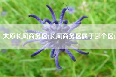 太原长风商务区(长风商务区属于哪个区)