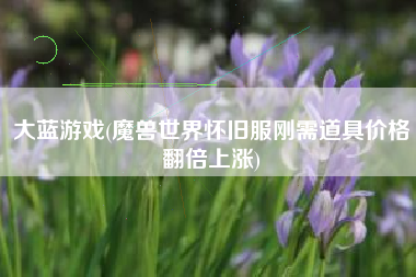 大蓝游戏(魔兽世界怀旧服刚需道具价格翻倍上涨)
