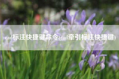 cad标注快捷键命令(cad牵引标注快捷键)