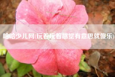 哈哈少儿网(玩着玩着感觉有意思就傻乐)
