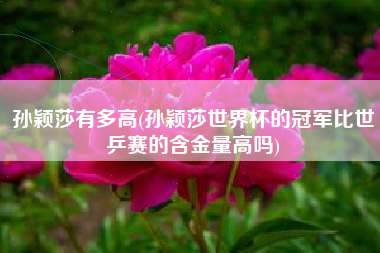 孙颖莎有多高(孙颖莎世界杯的冠军比世乒赛的含金量高吗)