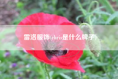 雷洛服饰(chris是什么牌子)