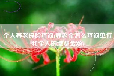 个人养老保险查询(养老金怎么查询单位和个人的缴费金额)